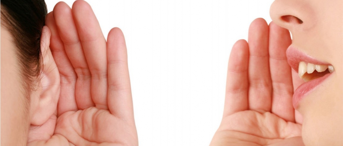 Absorción Acústica