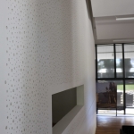 Cleaneo en muro auditorio