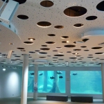 Cleaneo® Circular Aleatoria 8/15/20R