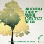 Cada árbol aporta