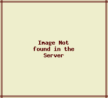 Knauf en Obra: Colegio Alemán Sankt Thomas Morus