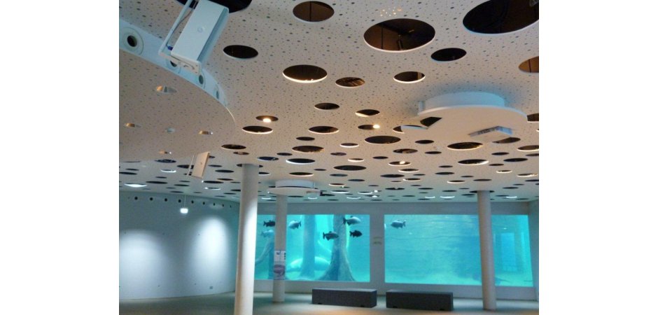 Cleaneo® Circular Aleatoria 8/15/20R